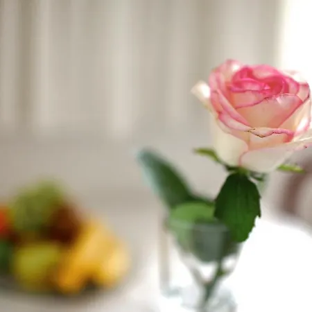 コンル 3* エルヴァンゲン