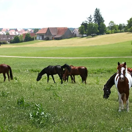 コンル エルヴァンゲン